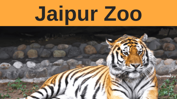 Jaipur Zoo, Rajasthan (Timings, Entry Fee, Images, Location, Contact Number)