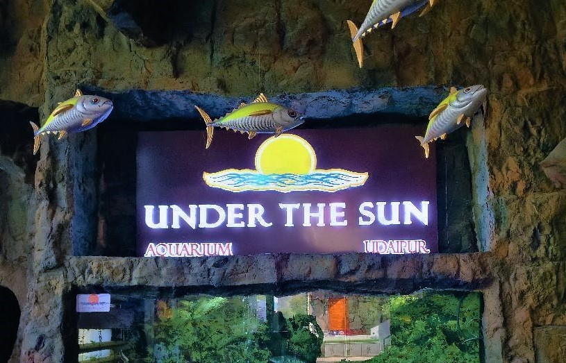 Under-The-Sun-Aquarium